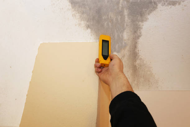 Mold Remediation for Vacation Homes in Elmer, NJ