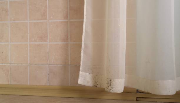 Best Indoor Air Quality Assessment  in Elmer, NJ