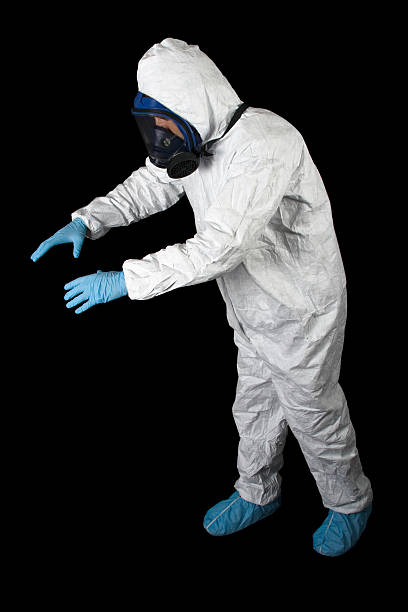 Best Mold Damage Restoration  in Elmer, NJ